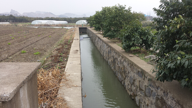 便攜（xié）式柴油機自吸泵